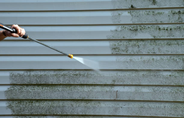 Best Gutter Cleaning  in Frostproof, FL