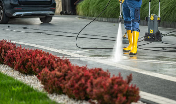 Best Sidewalk and Walkway Cleaning  in Frostproof, FL